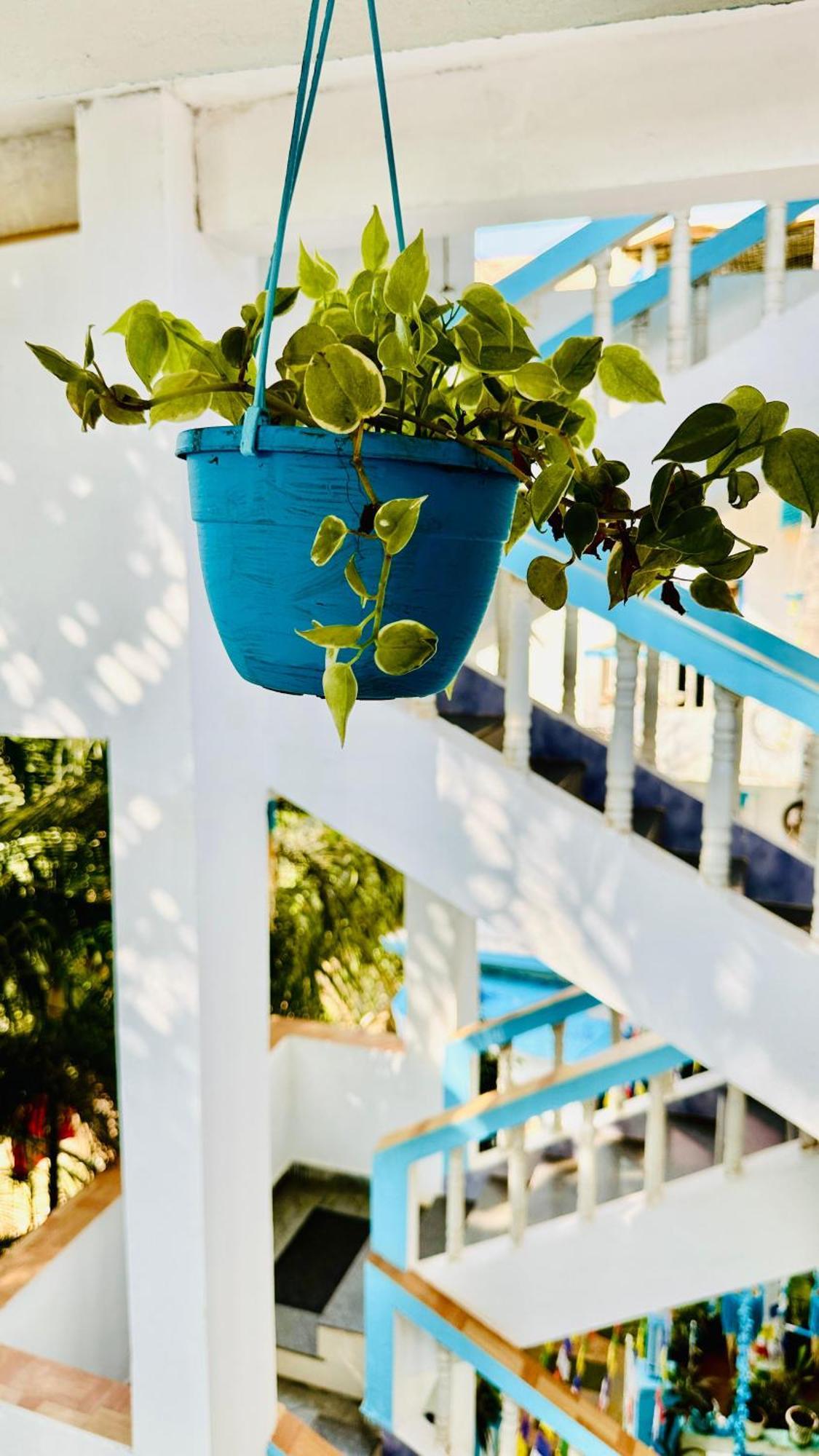 Omkar Wellness
