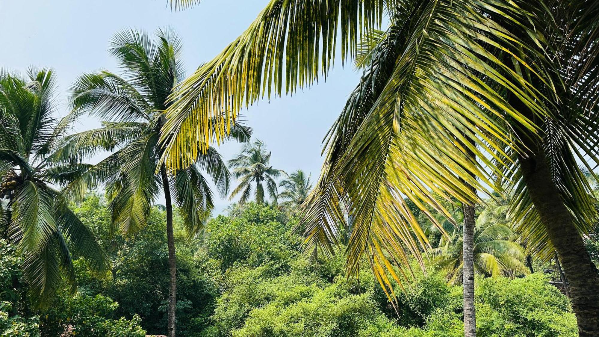 Omkar Wellness