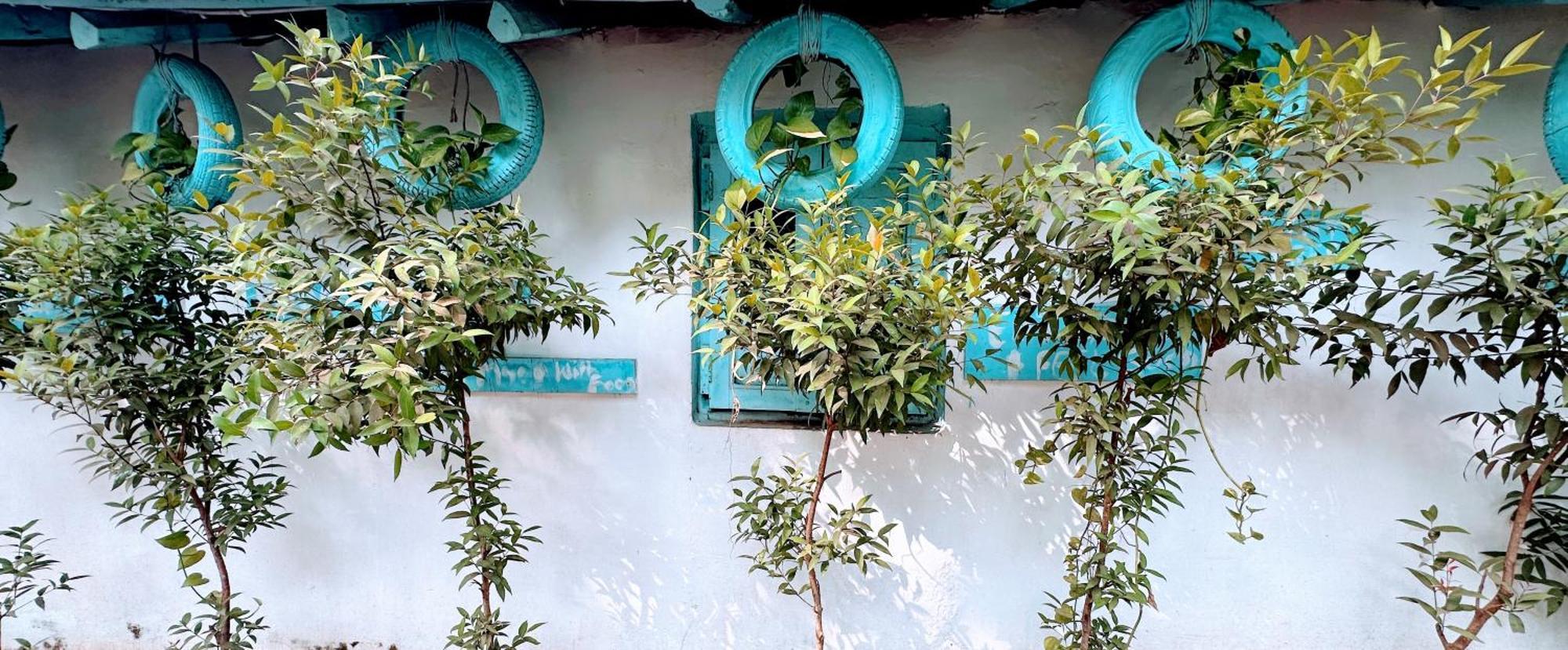 Omkar Wellness 3*